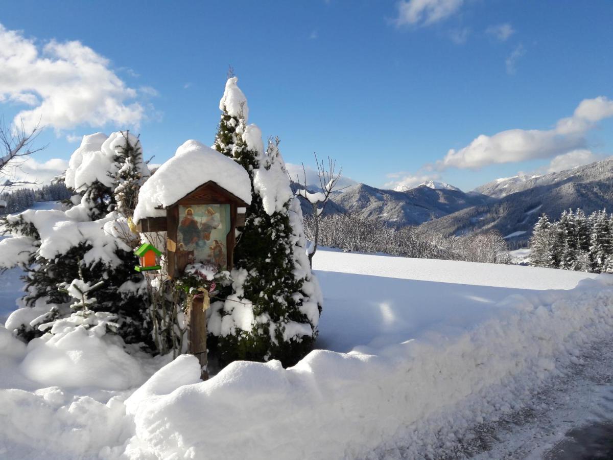 Biobauernhof Obereck Appartement Göstling an der Ybbs Buitenkant foto