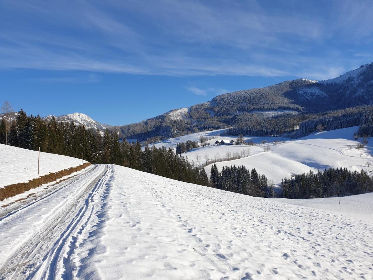 Biobauernhof Obereck Appartement Göstling an der Ybbs Buitenkant foto
