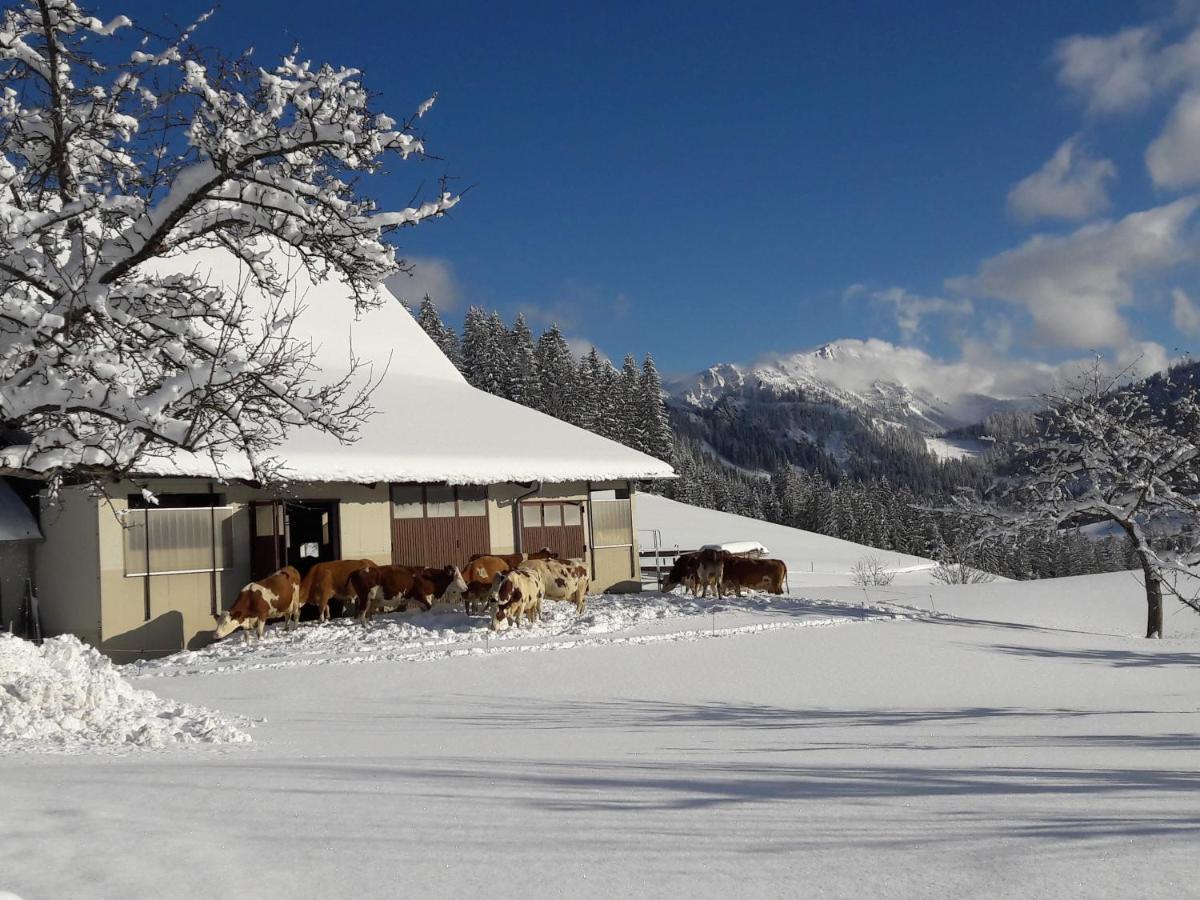 Biobauernhof Obereck Appartement Göstling an der Ybbs Buitenkant foto