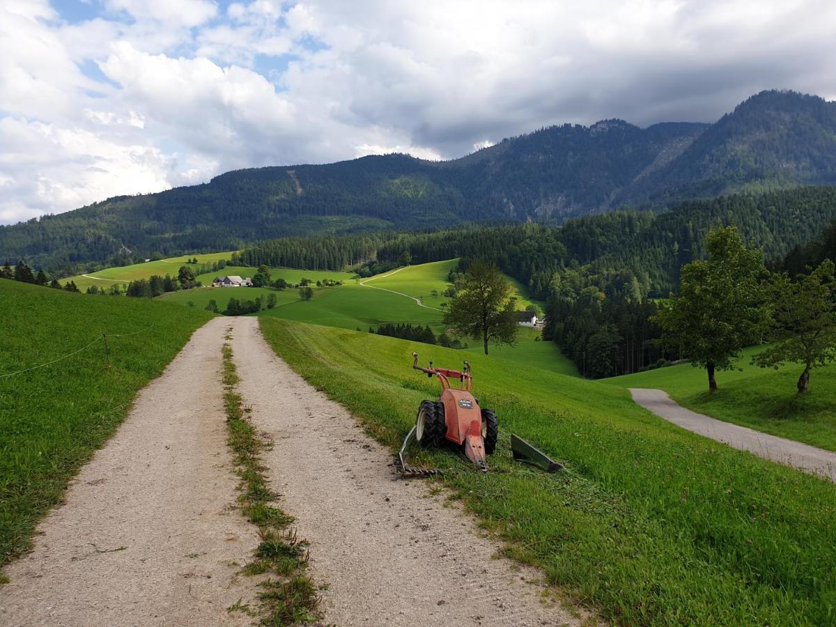 Biobauernhof Obereck Appartement Göstling an der Ybbs Buitenkant foto