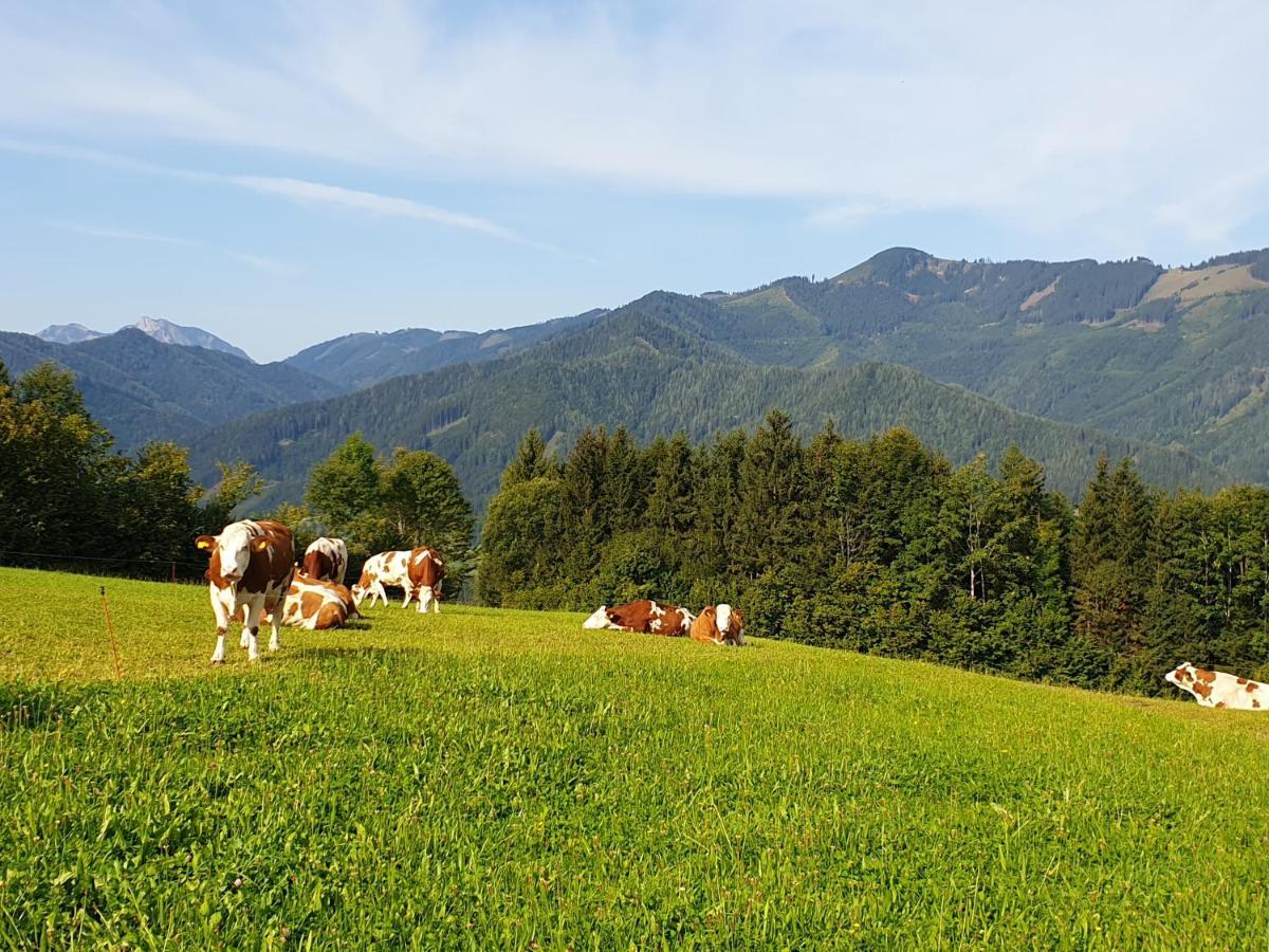 Biobauernhof Obereck Appartement Göstling an der Ybbs Buitenkant foto