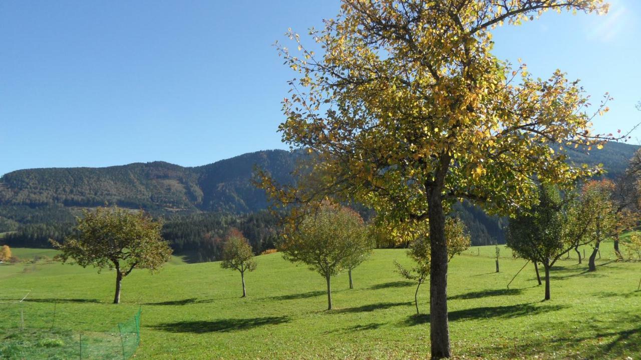 Biobauernhof Obereck Appartement Göstling an der Ybbs Buitenkant foto
