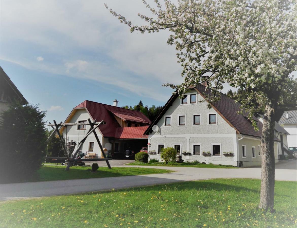 Biobauernhof Obereck Appartement Göstling an der Ybbs Buitenkant foto