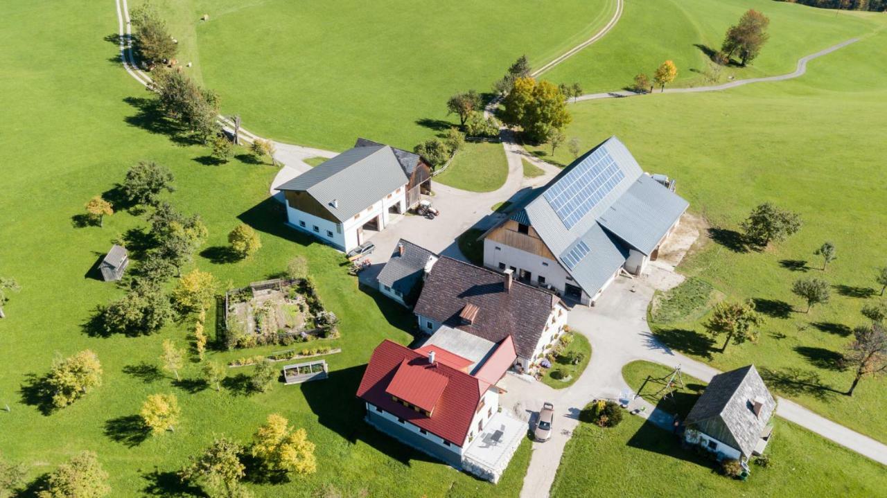 Biobauernhof Obereck Appartement Göstling an der Ybbs Buitenkant foto